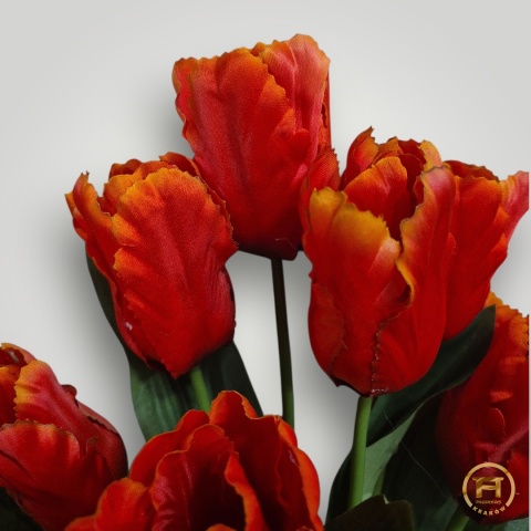 DMS-0200 Bukiet Tulipan mix 144szt