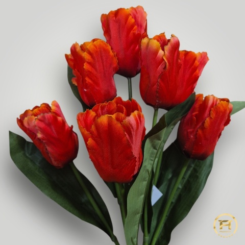 DMS-0200 Bukiet Tulipan mix 144szt