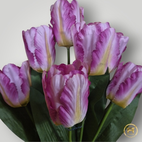 DMS-0200 Bukiet Tulipan mix 144szt