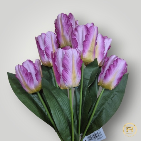 DMS-0200 Bukiet Tulipan mix 144szt