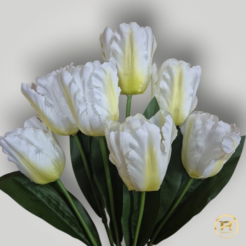 DMS-0200 Bukiet Tulipan mix 144szt