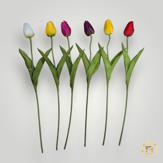 DYYG-091 Tulipan mix 72szt