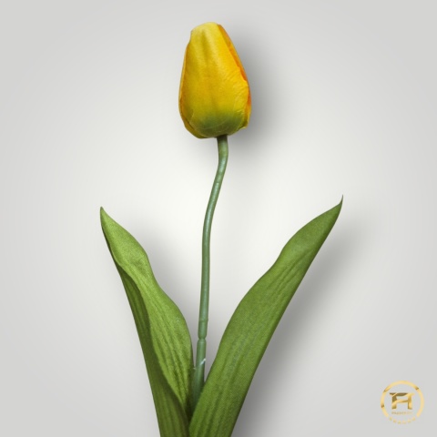 DYYG-091 Tulipan mix 72szt