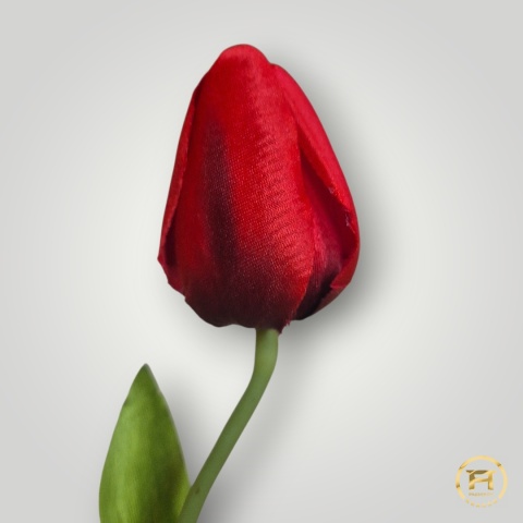 DYYG-091 Tulipan mix 72szt