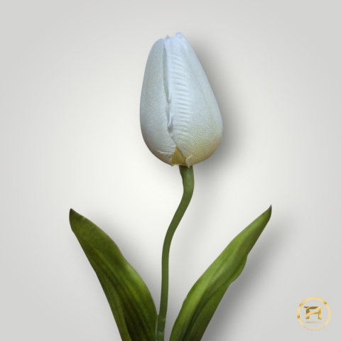 DYYG-091 Tulipan mix 72szt