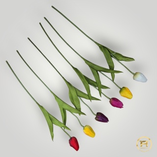 DYYG-091 Tulipan mix 72szt