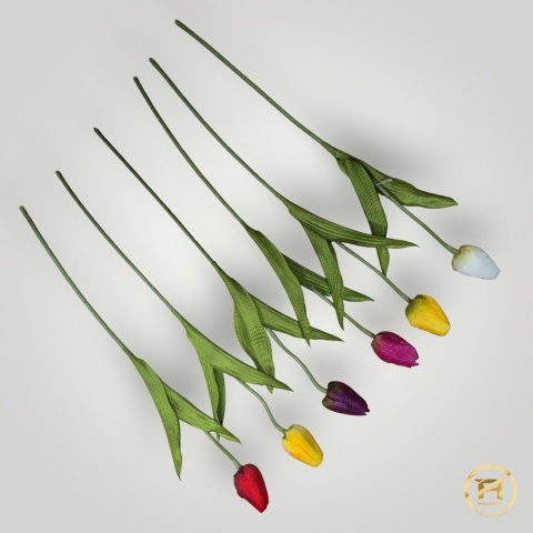 DYYG-091 Tulipan mix 720szt