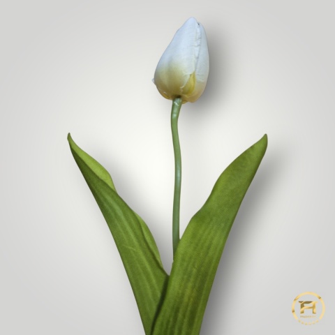 DYYG-091 Tulipan mix 720szt