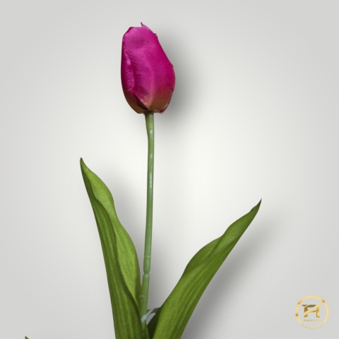 DYYG-091 Tulipan mix 720szt