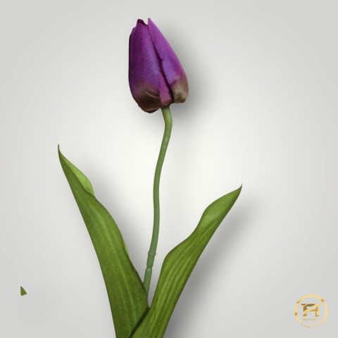 DYYG-091 Tulipan mix 720szt