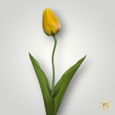 DYYG-091 Tulipan mix 720szt