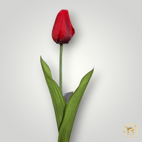 DYYG-091 Tulipan mix 720szt