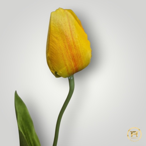 DYYG-091 Tulipan mix 720szt