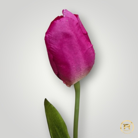 DYYG-091 Tulipan mix 720szt