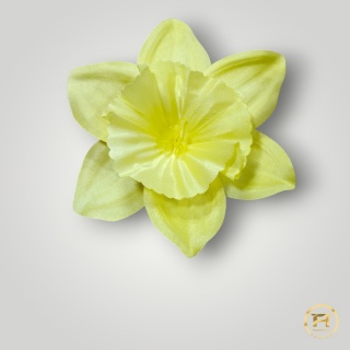 KMS-001/YE Żonkil Satynowy 20op