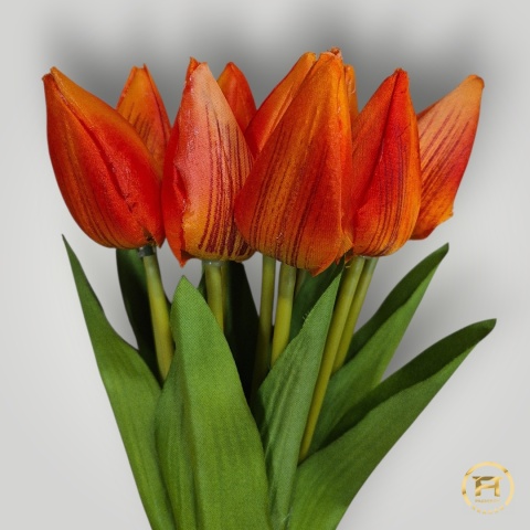 KMS-0110 Tulipan mix 120op