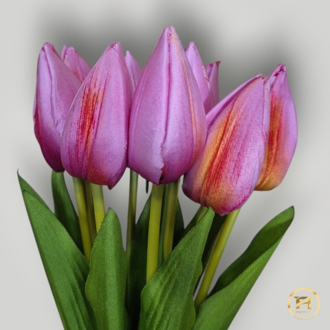 KMS-0110 Tulipan mix 120op