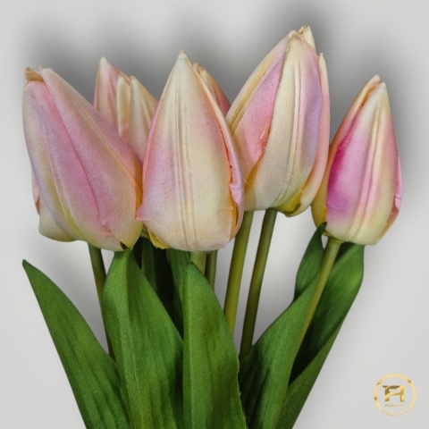 KMS-0110 Tulipan mix 120op