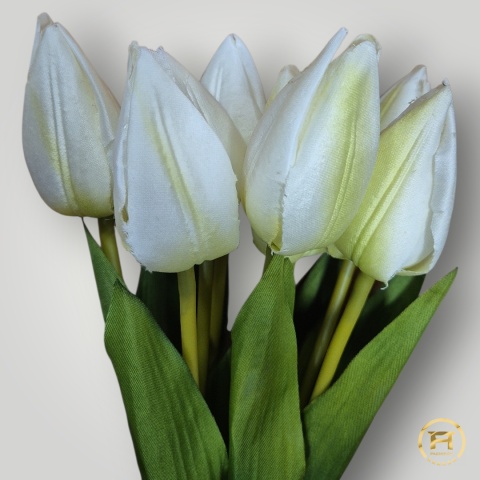 KMS-0110 Tulipan mix 120op