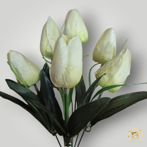 KMS-0110 Tulipan mix 120op