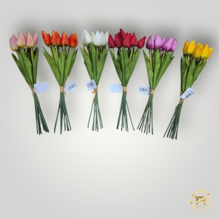 KMS-0110 Tulipan mix 24op