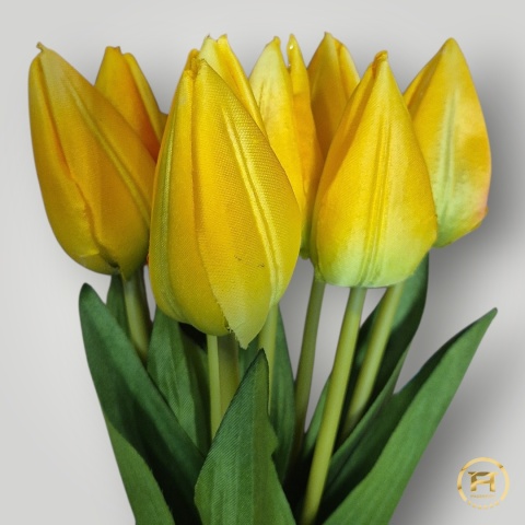 KMS-0110 Tulipan mix 24op