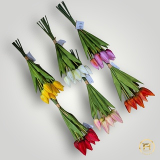 KMS-0110 Tulipan mix 24op