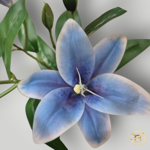 KMS-0114 Lilia gumowa niebieska 40szt