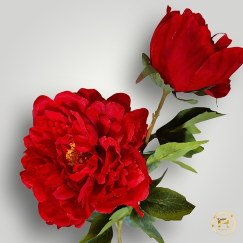 KMS-0119 Gałązka Piwoni mix 24szt