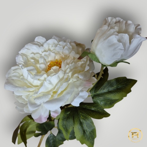 KMS-0119 Gałązka Piwoni mix 24szt