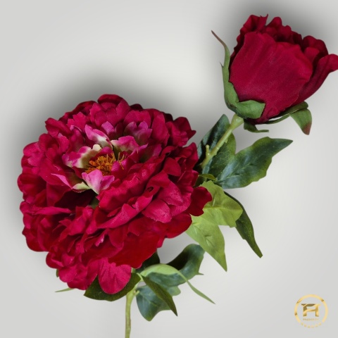 KMS-0119 Gałązka Piwoni mix 24szt