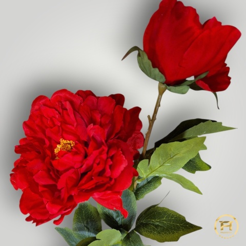 KMS-0119 Gałązka Piwoni mix 240szt