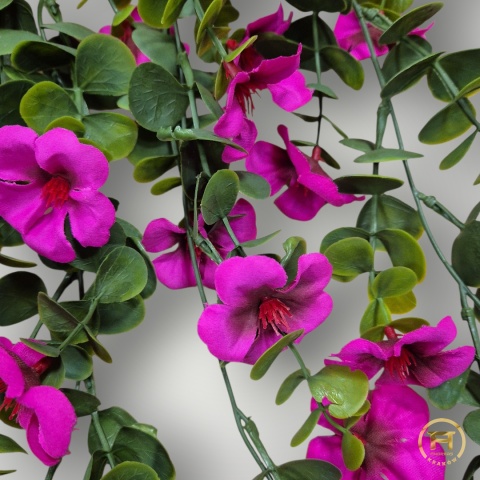 KMS-0241 Petunia wisząca 144szt