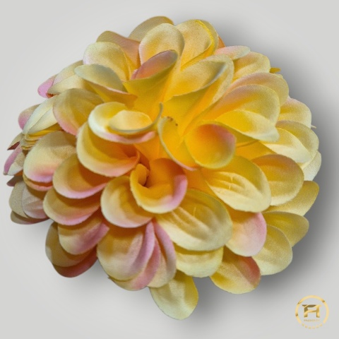 KMS-30/2 Główka Cyni 120szt