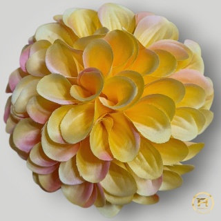 KMS-30/2 Główka Cyni 120szt