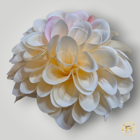 KMS-30/5 Główka Cyni 120szt