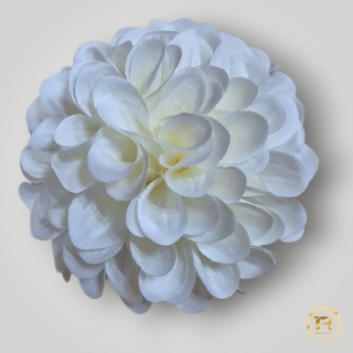 KMS-30/1 Główka Cyni 336szt