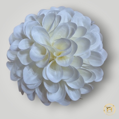 KMS-30/1 Główka Cyni 336szt