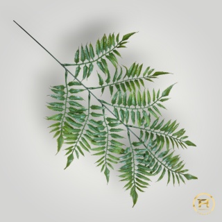 KMS-3420 gałązka paproci 1440