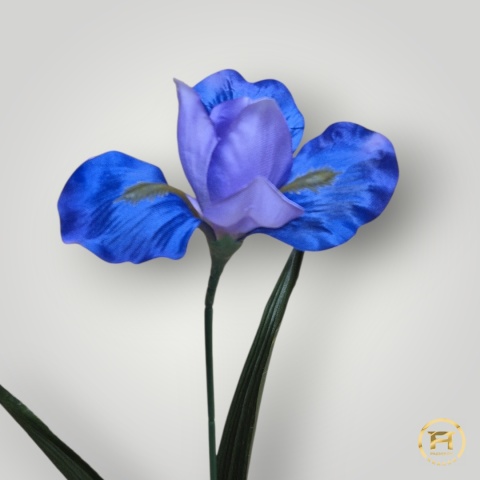 KWD-0170 Irys pojedyńczy mix 72szt