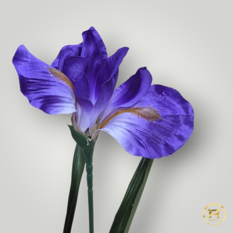 KWD-0170 Irys pojedyńczy mix 648szt