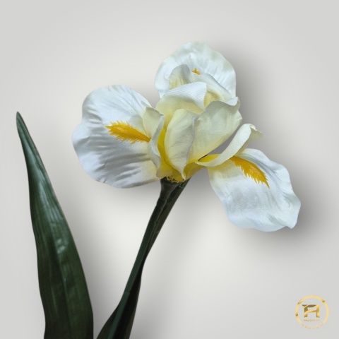 KWD-0170 Irys pojedyńczy mix 648szt