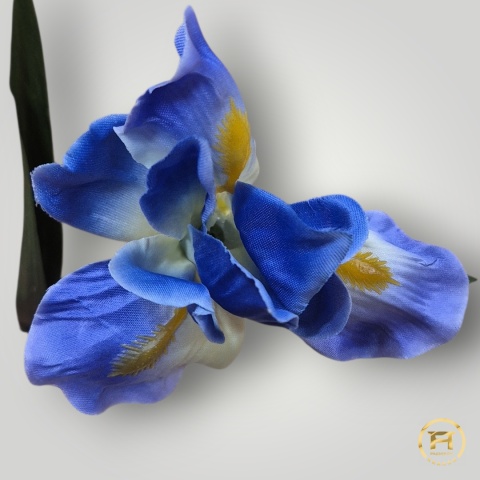 KWD-0170 Irys pojedyńczy mix 648szt