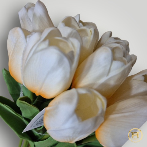 KMS-2020 Tulipan piankowy 360szt