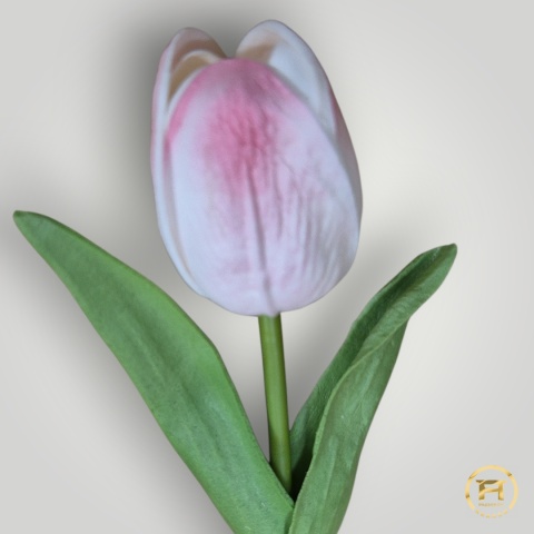 KMS-2020 Tulipan piankowy 360szt