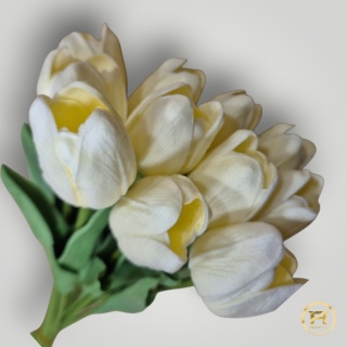 KMS-2020 Tulipan piankowy 720szt