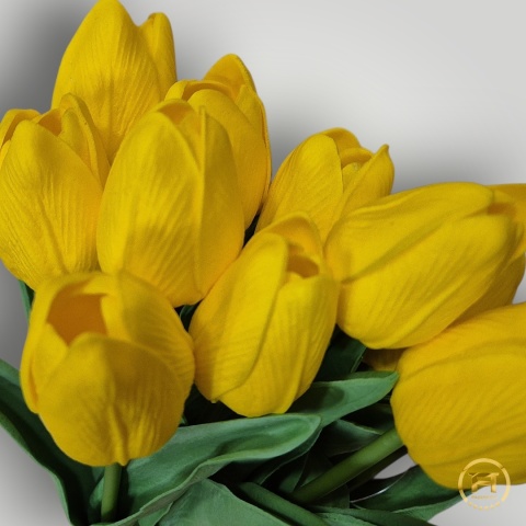 KMS-2020 Tulipan piankowy 720szt