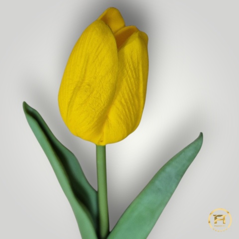 KMS-2020 Tulipan piankowy 720szt