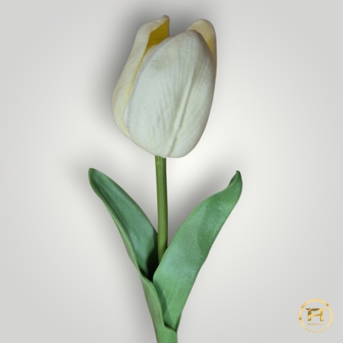 KMS-2020 Tulipan piankowy 720szt