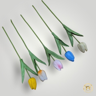 KMS-2020 Tulipan piankowy 720szt